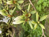 Enlarge photo 231