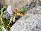 Enlarge photo 158