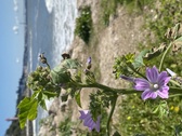 Enlarge photo 115