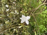 Enlarge photo 236