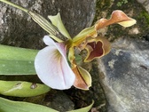 Enlarge photo 209