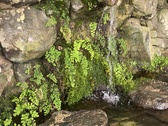 Enlarge photo 136
