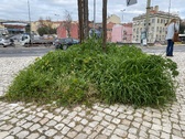 Enlarge photo 52