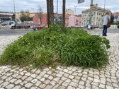 Enlarge photo 51