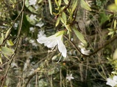 Enlarge photo 234
