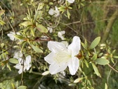 Enlarge photo 232