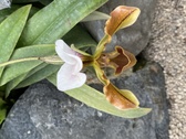 Enlarge photo 182