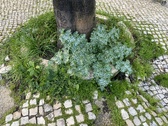 Enlarge photo 320