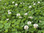 Enlarge photo 46