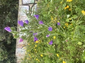 Enlarge photo 109