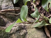 Enlarge photo 135