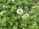 Enlarge photo 38