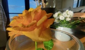 Enlarge photo 57