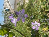 Enlarge photo 112