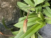 Enlarge photo 181