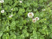 Enlarge photo 43
