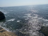 Enlarge photo 41