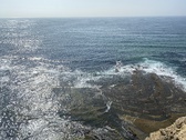 Enlarge photo 40