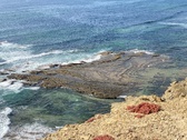 Enlarge photo 32