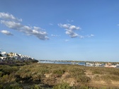 Enlarge photo 262