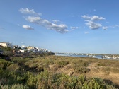 Enlarge photo 260