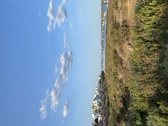 Enlarge photo 259