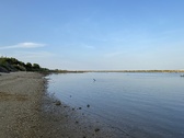 Enlarge photo 258