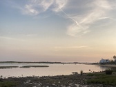 Enlarge photo 255