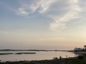 Enlarge photo 254