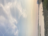 Enlarge photo 253