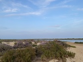 Enlarge photo 252