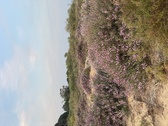 Enlarge photo 249