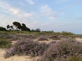 Enlarge photo 248