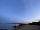 Enlarge photo 245