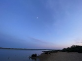 Enlarge photo 244