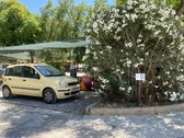 Enlarge photo 241