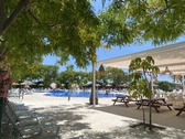 Enlarge photo 239