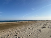 Enlarge photo 233