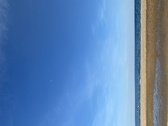 Enlarge photo 232