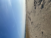 Enlarge photo 231