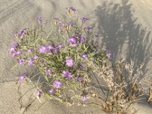 Enlarge photo 208