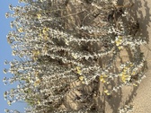 Enlarge photo 201
