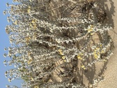 Enlarge photo 200