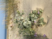 Enlarge photo 192