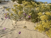 Enlarge photo 187