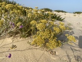 Enlarge photo 186