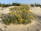 Enlarge photo 182