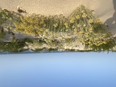 Enlarge photo 166