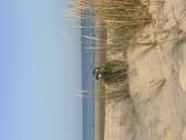 Enlarge photo 161