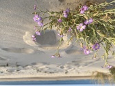 Enlarge photo 155